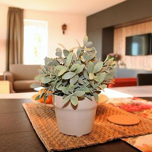 Appartement met Drie Slaapkamers